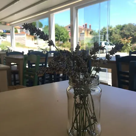 شقة Dom بريمونتيرا